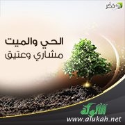 الحي والميت: مشاري وعتيق
