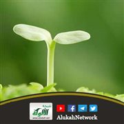 من مائدة الفقه: سنن الفطرة