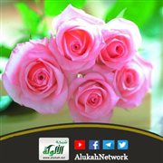 حقوق الأم (1)