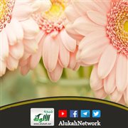 حقوق البنات