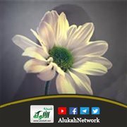 حماية الفضيلة في الإسلام (خطبة)