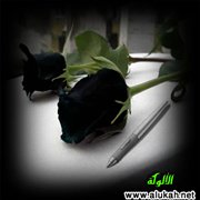 الورود السوداء