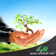 نظرة الإسلام للبيئة