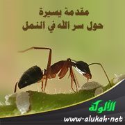 مقدمة يسيرة حول سر الله في النمل