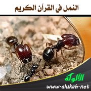 النمل في القرآن الكريم