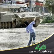 أطفال الحجارة والمدن العربية في شعر محمود مفلح