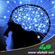 مفهوم العقل في الإسلام