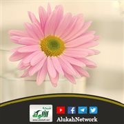 الإقبال على الخير من علامات التوفيق