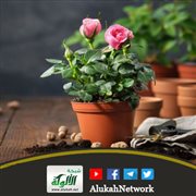 خطبة: السعادة الزوجية