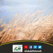 الريح والغبار طيبة وإعصار (خطبة)